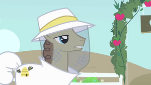Beekeeper pony needs his bees back S4E03.png