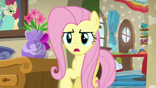 Fluttershy "I know you both want to help" S6E11.png