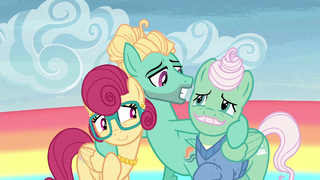 Zephyr puts his hooves around his parents S6E11.png