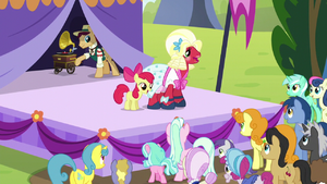Apple Bloom and Orchard Blossom "it's not always perfect" S5E17.png