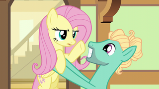 Fluttershy "on one condition" S6E11.png