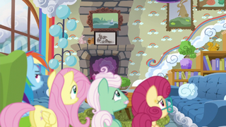 Rainbow and the Shys watch Zephyr go upstairs S6E11.png
