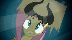 Scared Fluttershy 2 S2E19.png