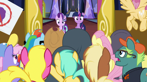 Twilight and Starlight confronted by arguing ponies S7E14.png