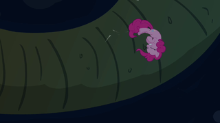 Pinkie Pie goes through a tunnel S3E03.png