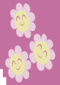 三朵微笑的花