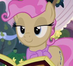 Young Mayor Mare ID S7E13.png