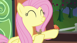 Fluttershy and a bird on the train S4E22.png
