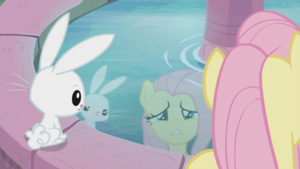 Fluttershy and Angel looking at their reflections S9E18.png