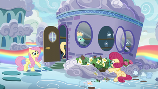 Fluttershy "can't you see what you're doing?!" S6E11.png