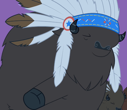 Chief Thunderhooves ID S1E21.png