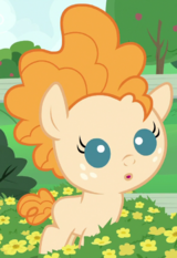 Pear Butter infant ID S7E13.png