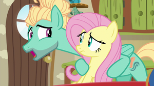 Fluttershy and Zephyr Breeze, brother and sister S6E11.png