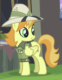 Daring Do Collector ID S4E22.png