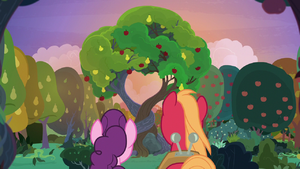Mac and Sugar under the apple-pear tree S9E23.png