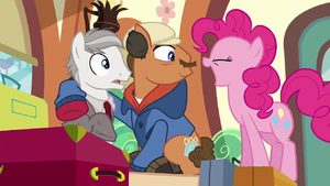 Homebound Ponies look at Pinkie Pie S6E3.png