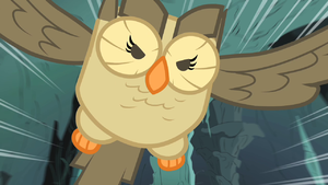 Owlowiscious saves the day S1E24.png
