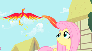 Philomena gives Fluttershy a present S01E22.png