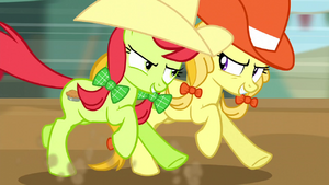 Peachy Sweet and Jonagold competing in steeplechase S5E6.png