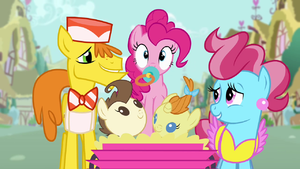 Pinkie Pie with pacifier in her mouth S4E12.png