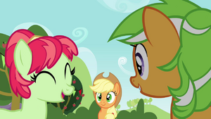 Applejack looking at the two mares S3E08.png