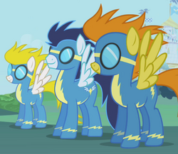 The Wonderbolts.png