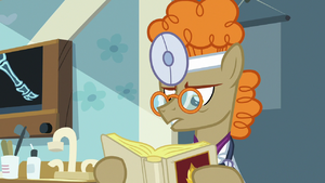 Dr. Horse reading a medical textbook S7E20.png
