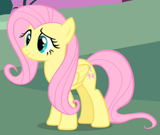 Fluttershy ID S1E17.png