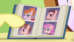 Fluttershy opening book of mane styles S6E11.png