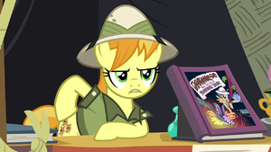 Daring Do collector refuses to trade S4E22.png