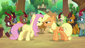 Fluttershy and AJ arguing among the Kirin S8E23.png
