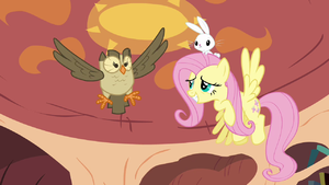 Fluttershy and Owlowiscious in the air S03E11.png