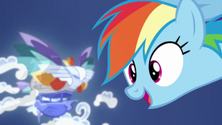 Rainbow Dash looking at the pirates' ship S8E1.png