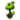 PRODUCT.TOXICPLANT.png