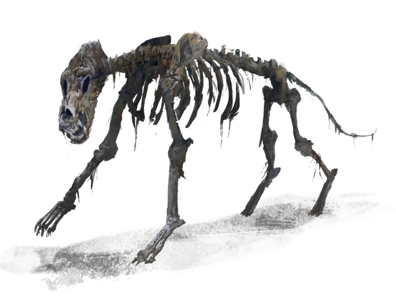 文件:Wolf Skeleton.webp - 开拓者2版中文维基 - 灰机wiki - 北京嘉闻杰诺网络科技有限公司