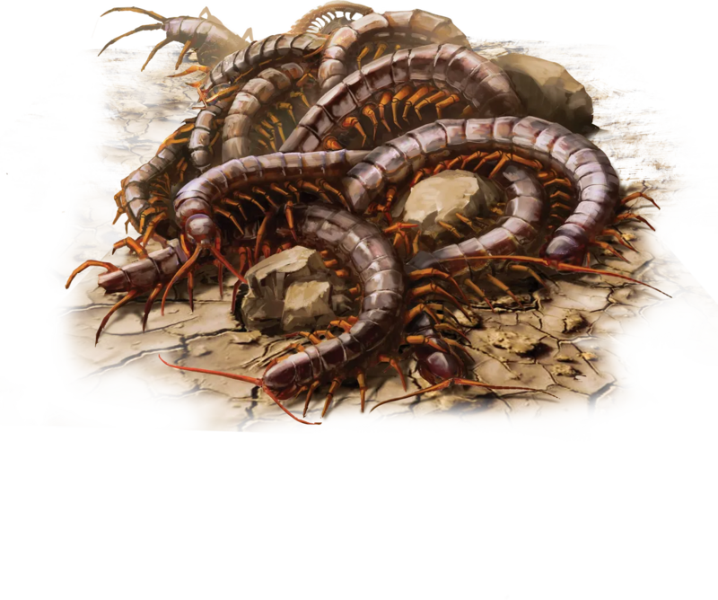 文件:Centipede Swarm.webp - 开拓者2版中文维基 - 灰机wiki - 北京嘉闻杰诺网络科技有限公司