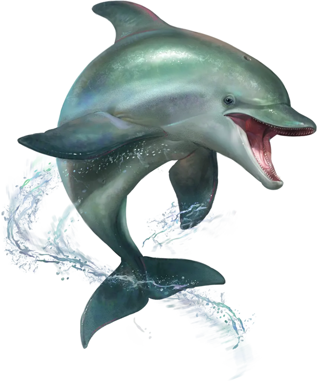 640px-Dolphin_Bottlenose.webp.png