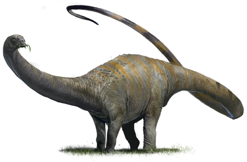 文件:Dinosaur Brontosaurus.webp - 开拓者2版中文维基 - 灰机wiki - 北京嘉闻杰诺网络科技有限公司