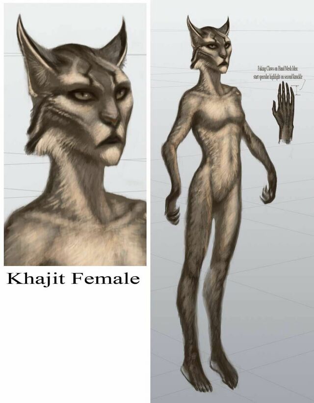 文件:TESV Concept Khajiit Female.jpg - 上古卷轴 - 灰机wiki - 北京嘉闻杰诺网络科技有限公司