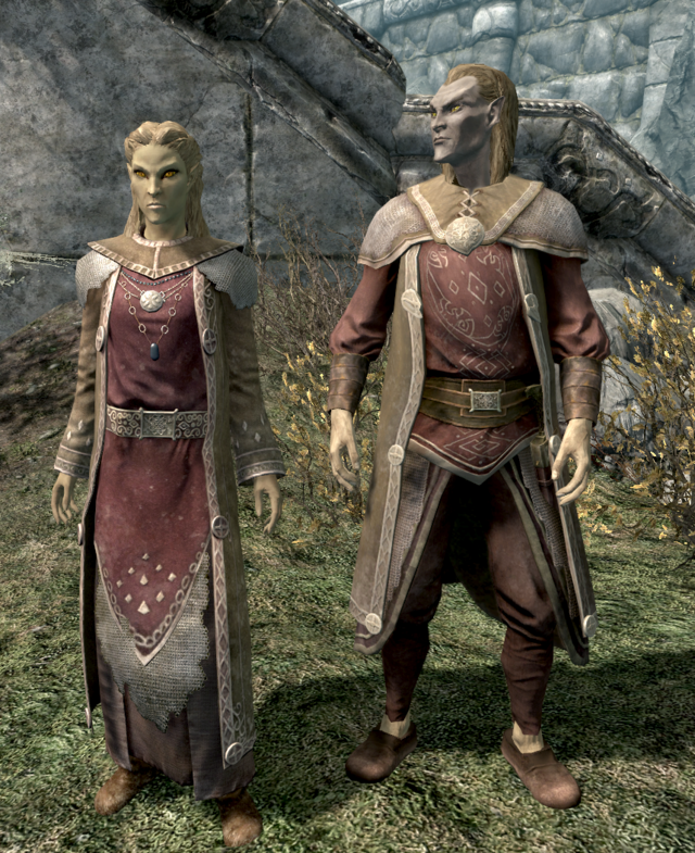 文件:Altmer in Fine Raiment.png - 上古卷轴 - 灰机wiki - 北京嘉闻杰诺网络科技有限公司