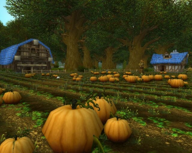 640px-Brackwell_Pumpkin_Patch.jpg