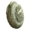 龙涎石