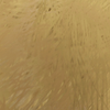 Corrupted Gold.png