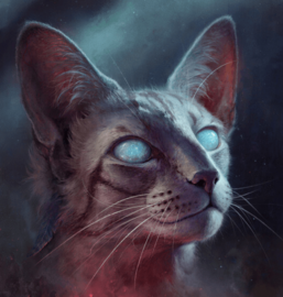 松鸦羽 - 猫武士维基 - 灰机wiki