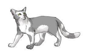Hazeltail - Cat-Patrisiya.jpg
