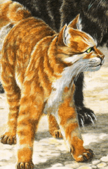 扑尾 (河族) - 猫武士维基 - 灰机wiki - 北京嘉闻杰诺网络科技有限公司