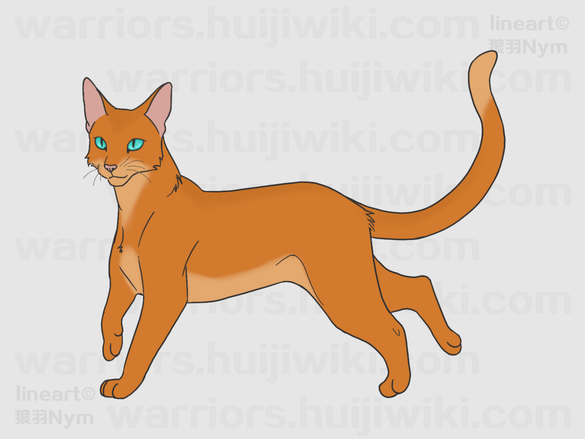 雕翅- 猫武士维基- 灰机wiki - 北京嘉闻杰诺网络科技有限公司