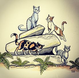 松鸦羽 - 猫武士维基 - 灰机wiki - 北京嘉闻杰诺网络科技有限公司