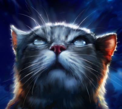 松鸦羽/图集 - 猫武士维基 - 灰机wiki - 北京嘉闻杰诺网络科技有限公司