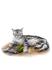 松鸦羽 - 猫武士维基 - 灰机wiki - 北京嘉闻杰诺网络科技有限公司
